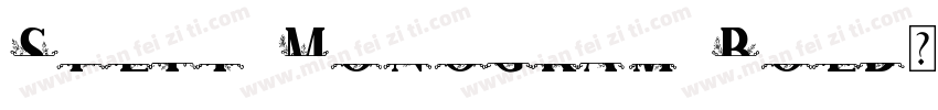 Split Monogram Bold字体转换
